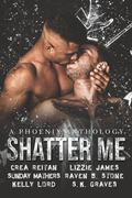 Shatter Me by Raven B. Stone