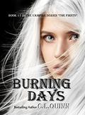Burning Days (The Firsts #17) by C.L. Quinn