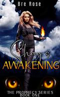 Shay’s Awakening by Bre Rose