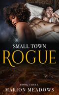Small Town Rogue (Sins of the South #3) by Marion Meadows