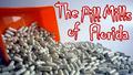 The Pill Mills of Florida by Scott Wilson