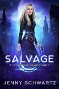 Salvage by Jenny Schwartz
