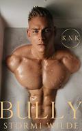 BULLY: KNK Matchmaking Agency (KNK Matchmaking Agency #1) by Stormi Wilde
