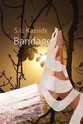 Bandages (Scarred #3) by S.L. Kassidy
