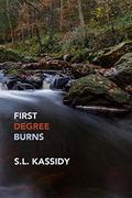 First Degree Burns (Scarred #4) by S.L. Kassidy
