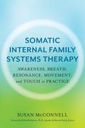 Somatic Internal Family Systems Therapy: Awareness, Breath, Resonance, Movement and Touch in Practice by Richard C. Schwartz