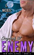 Dangerously Hot Enemy by L. Nicole
