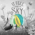 It Fell from the Sky by Terry Fan, Eric Fan