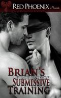 Brian's First Day of Submissive Training by Red Phoenix