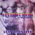 Afterburner (Afterburner #1) by Chris Chambers