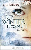Der Winter erwacht (Weathermages of Mystral #1) by C.L. Wilson