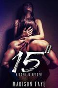 Fifteen Inches by Madison Faye