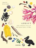 Adrift: The Curious Tale of the Lego Lost at Sea by Tracey Williams