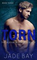 Torn by Jade Bay
