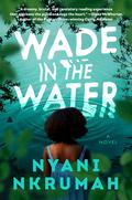 Wade in the Water by Nyani Nkrumah
