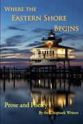 Where the Eastern Shore Begins by David Nees