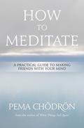 How to Meditate: A Practical Guide to Making Friends with Your Mind by Pema Chödrön