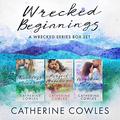 Wrecked Beginnings: Reckless Memories / Perfect Wreckage / Wrecked Palace (Wrecked #1-3) by Ava Erickson