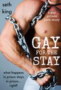Gay for the Stay (Gay for the Stay #1) by Seth King