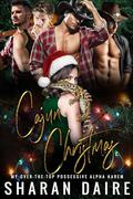 Cajun Christmas by Sharan Daire