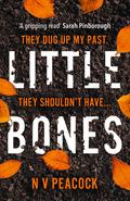 Little Bones: The most chilling serial killer thriller you’ll read this year by N.V. Peacock