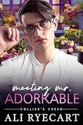 Meeting Mr. Adorkable (Collier's Creek #1) by A.E. Ryecart