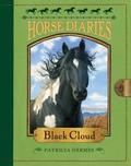 Black Cloud (Horse Diaries #8) by Patricia Hermes