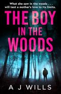 The Boy in the Woods by A.J. Wills