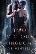 Two Vicious Kingdoms (Battle for The Dark King #2) by V.S. Winters