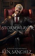 Stormweaver (Willowbrook #2) by Ken Sanchez