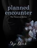 Planned Encounter (Vacation #2) by Skye Black