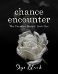 Chance Encounter (Vacation #1) by Skye Black