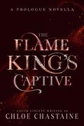 The Flame King's Captive Preview (Fire and Desire #1A) by Lilith Vincent