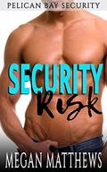 Security Risk (Pelican Bay Security #1) by Megan Matthews