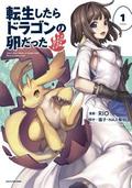 Reincarnated as a Dragon Hatchling Manga, Vol. 1 (Reincarnated as a Dragon Hatchling Manga #1) by Necoco