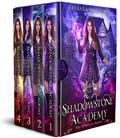 Shadowstone Academy Boxset: The Complete Series (Books 1-4) (Shadowstone Academy #1–4 omnibus) by Barbara Hartzler