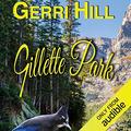 Gillette Park by Gerri Hill, Nicol Zanzarella