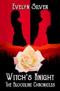 Witch's Knight by Evelyn Silver