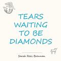 Tears Waiting to Be Diamonds (In Other Lands #1.5) by Sarah Rees Brennan