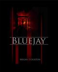 Bluejay by Megan Stockton