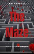 The Maze by E.R. Hendricks