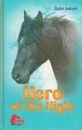 Hero of the Night (Diabolo #5) by Gabi Adam