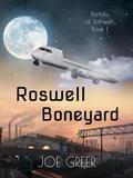 Roswell Boneyard by Joe Greer
