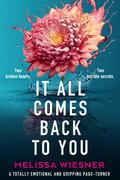 It All Comes Back to You by Melissa Wiesner