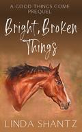 Bright, Broken Things (Good Things Come #0) by Linda Shantz