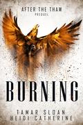 Burning by Tamar Sloan, Heidi Catherine