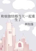 和宿敌结婚当天一起重生了 Reborn with an Old Enemy on the Day of our Marriage by 林知落