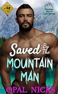 Saved By The Mountain Man (Mountain Men of Cady Springs #2) by Opal Nicks