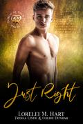 Just Right (Fairest of Them All #6) by Trisha Linde