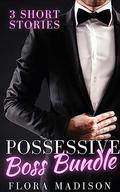 Possessive Boss Bundle (Possessive Billionaire Bosses #1-3) by Flora Madison